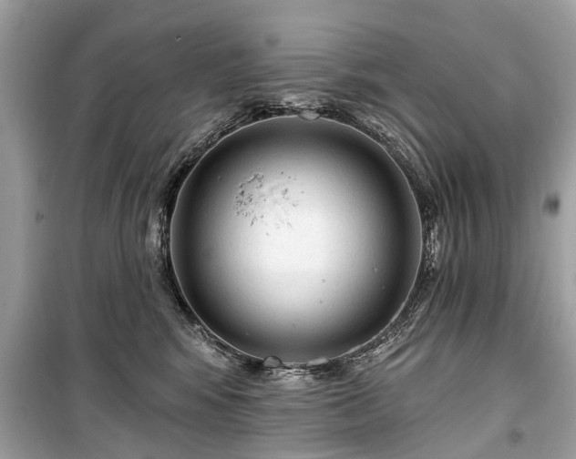 X0000099420424200805161050