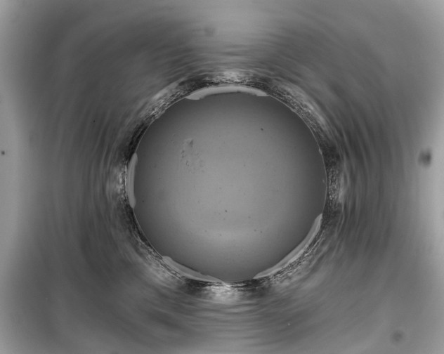 X0000099420425200805161050