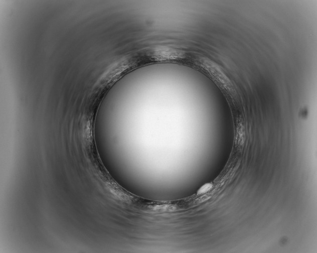 X0000099420426200805161050