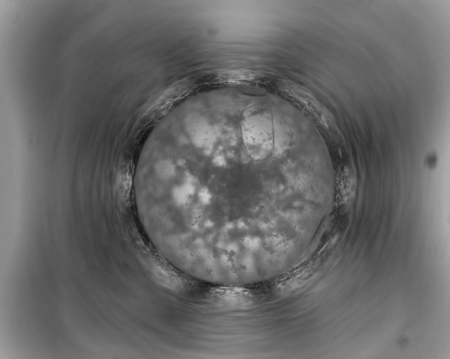 X0000099420427200805161050