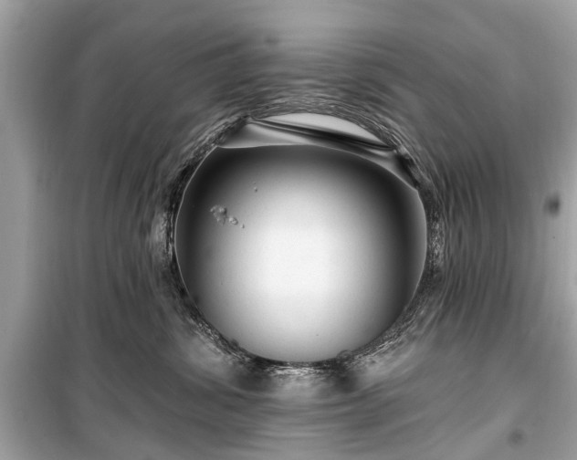 X0000099420428200805161050