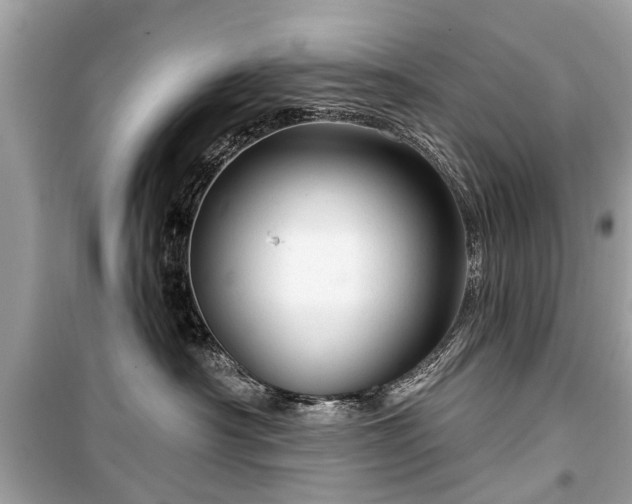 X0000099420430200805161050
