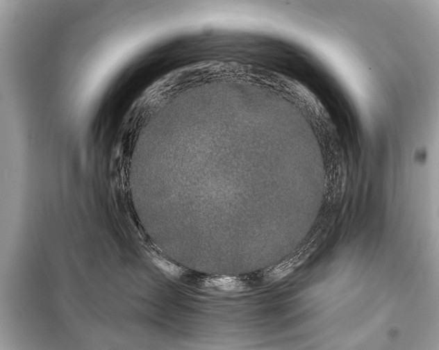 X0000099420431200805161050