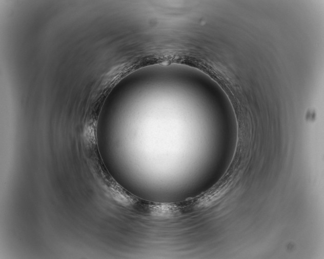 X0000099420432200805161050