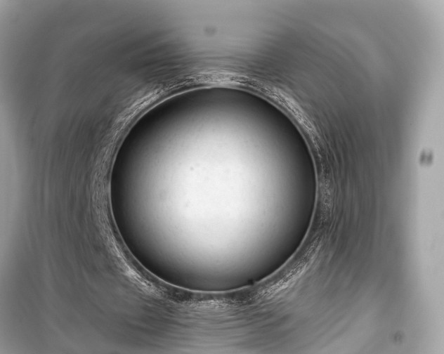 X0000099420433200805161049