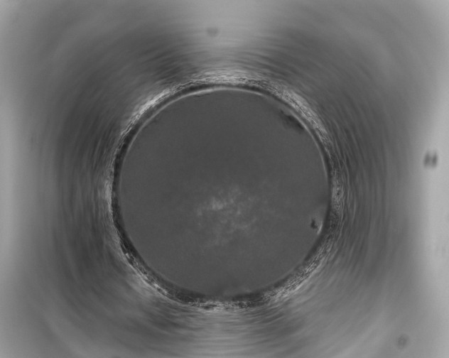 X0000099420434200805161049
