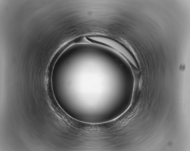 X0000099420435200805161049