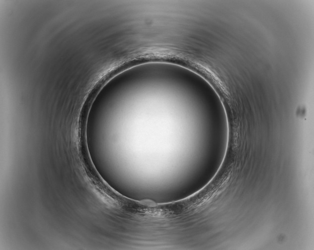 X0000099420439200805161049