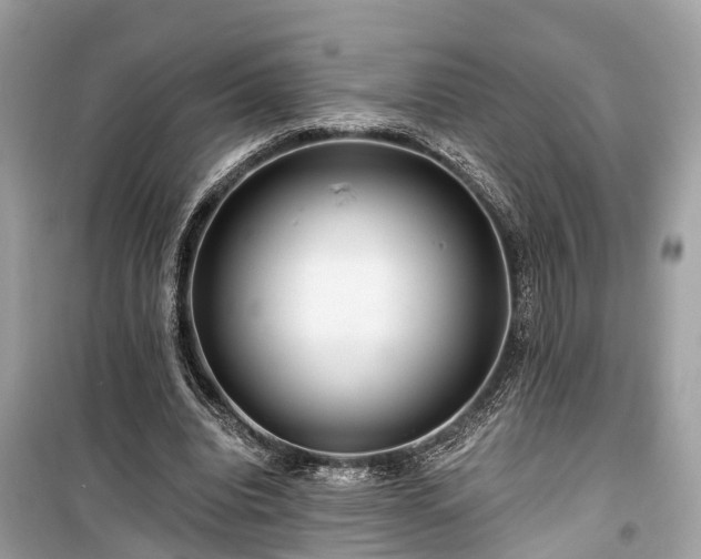X0000099420440200805161049