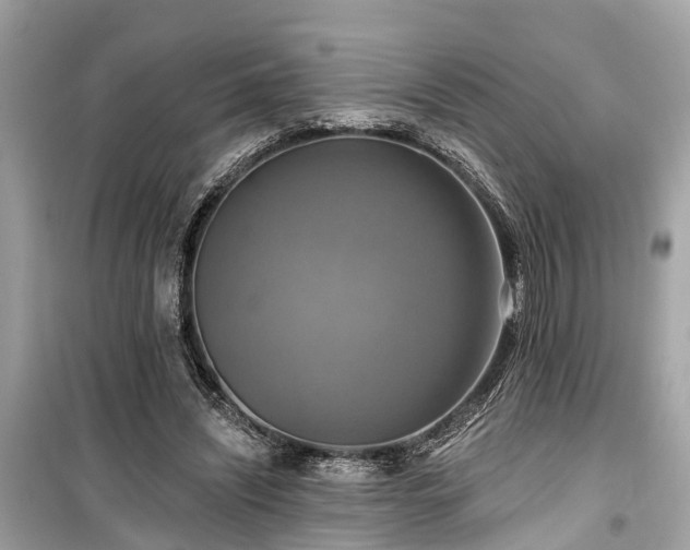 X0000099420444200805161049