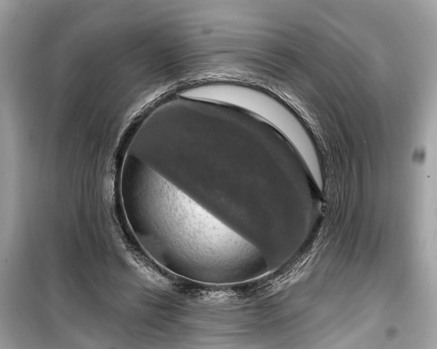 X0000099420446200805161049