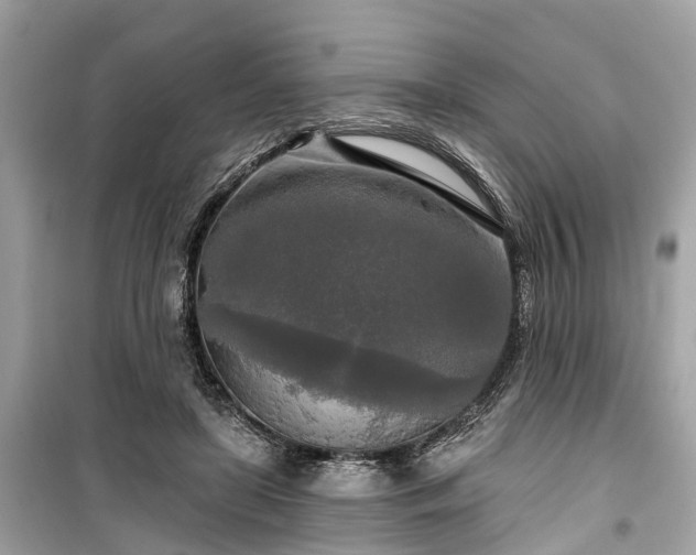 X0000099420451200805161049