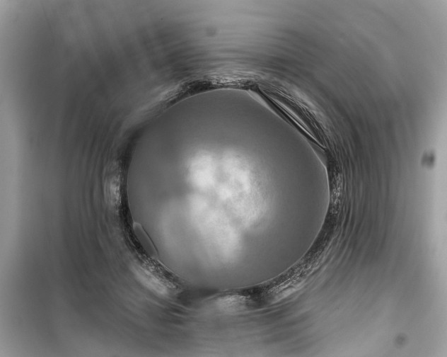 X0000099420452200805161049