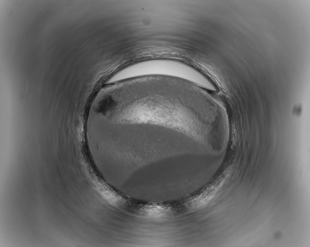 X0000099420453200805161049