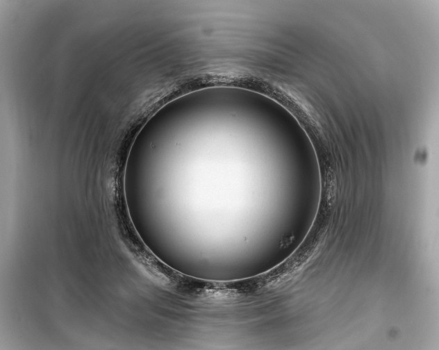 X0000099420455200805161049