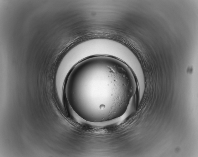X0000099420456200805161049