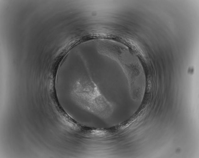 X0000099420457200805161050