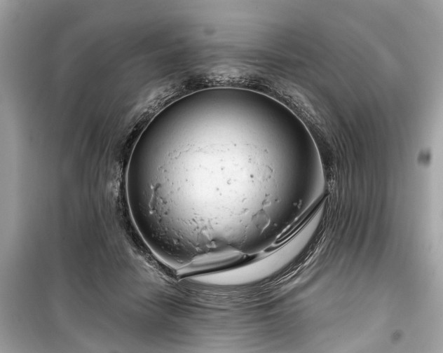 X0000099420458200805161050