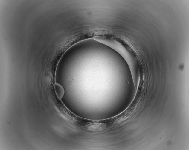 X0000099420459200805161050