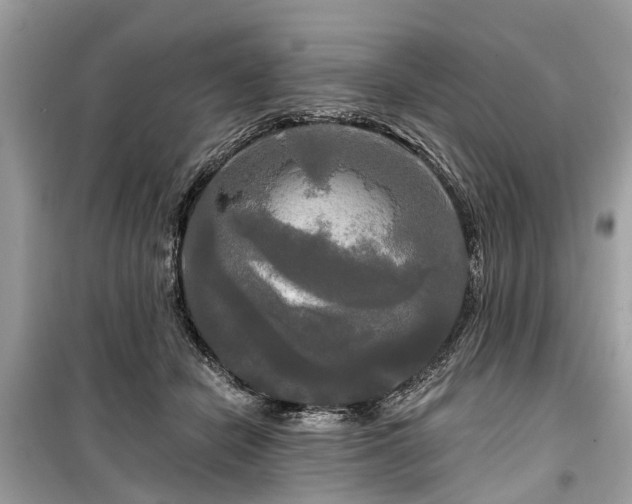 X0000099420462200805161050