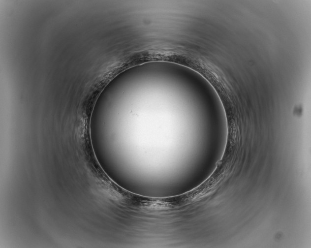 X0000099420463200805161050