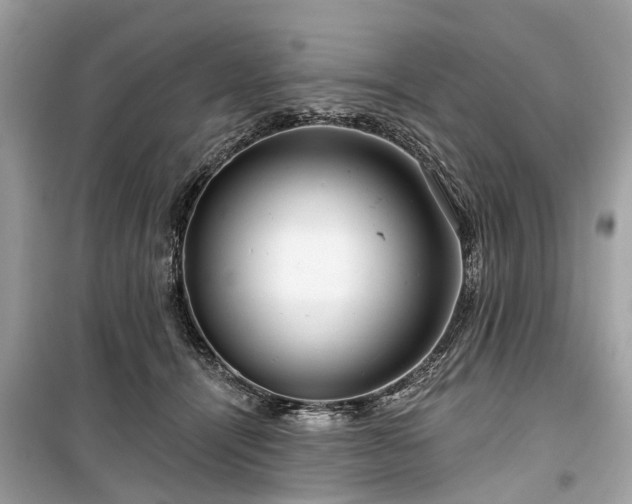 X0000099420464200805161050