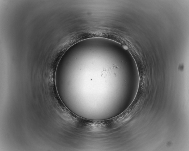 X0000099420466200805161050