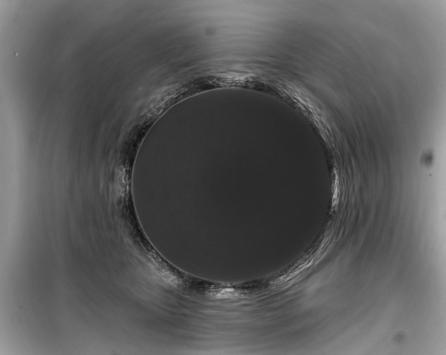 X0000099420467200805161050