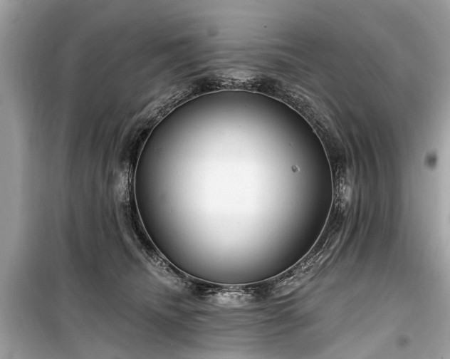 X0000099420468200805161050