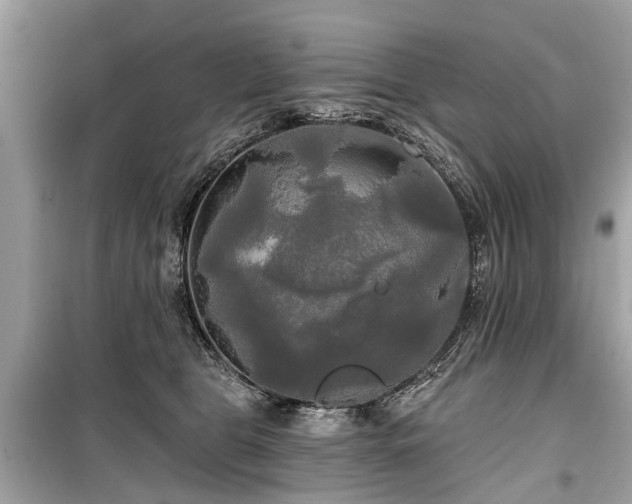X0000099420469200805161050