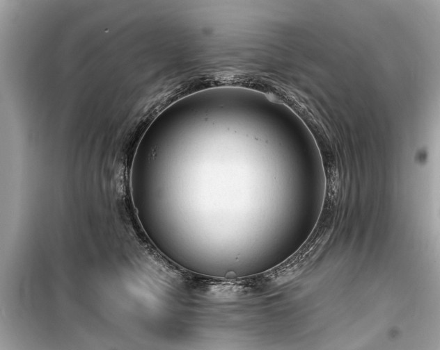 X0000099420470200805161050