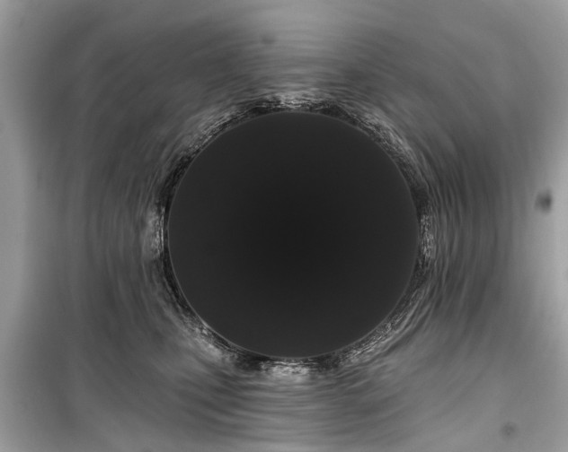 X0000099420471200805161050
