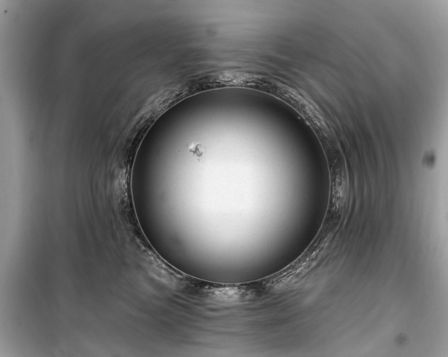 X0000099420473200805161050