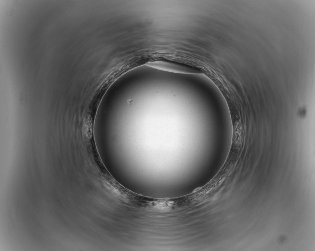 X0000099420474200805161050