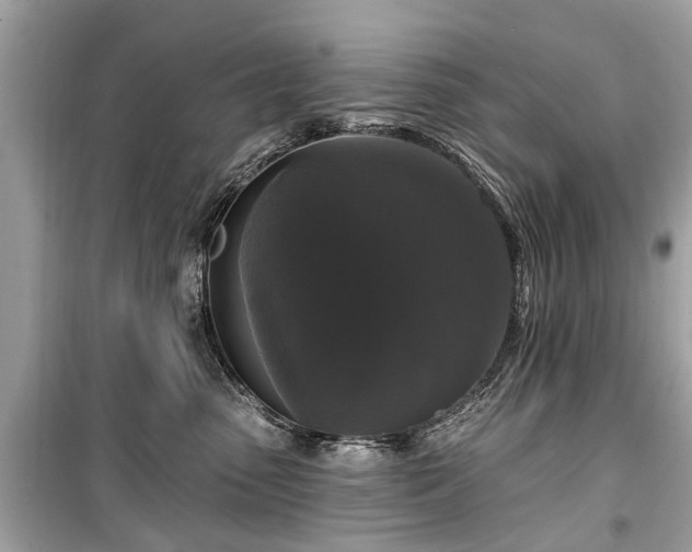 X0000099420475200805161050