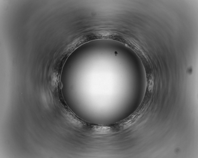 X0000099420476200805161050