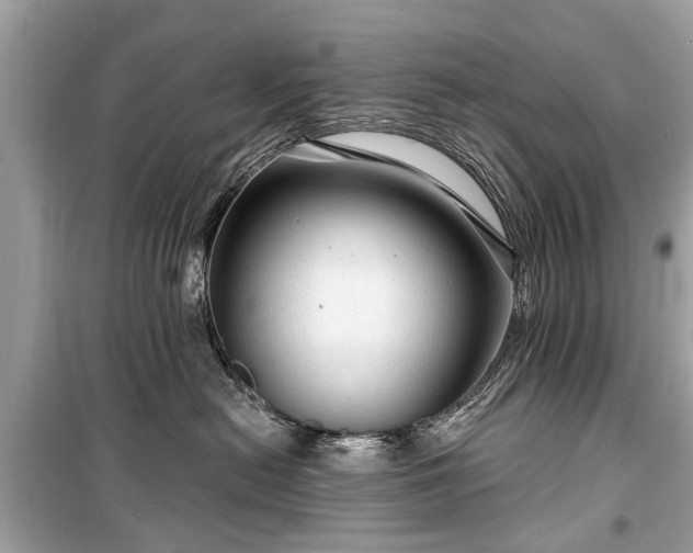 X0000099420478200805161050