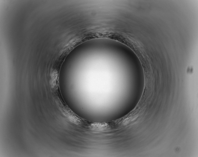 X0000099420480200805161050