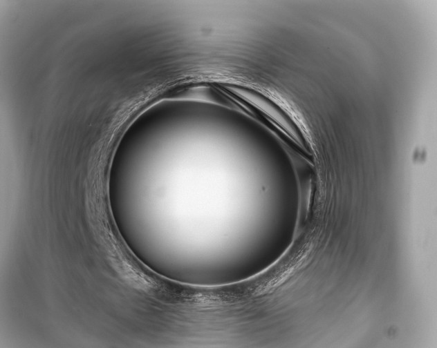 X0000099420481200805161049
