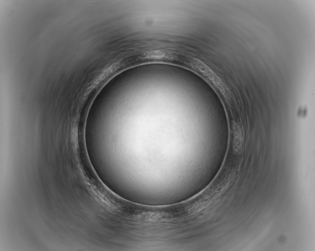 X0000099420482200805161049