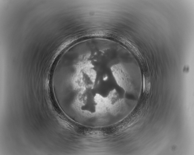 X0000099420483200805161049