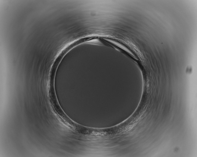 X0000099420484200805161049