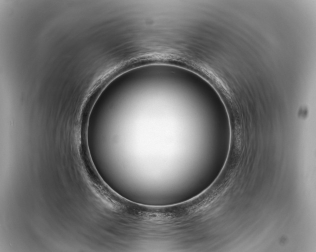 X0000099420486200805161049