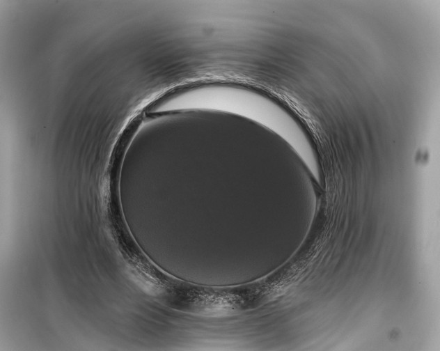 X0000099420488200805161049