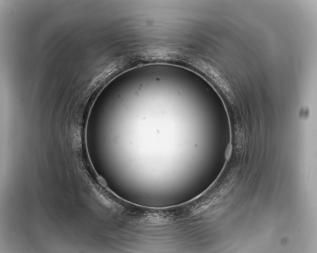 X0000099420489200805161049