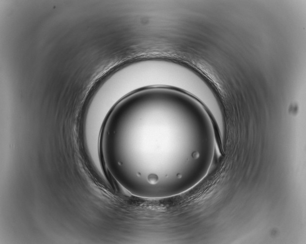 X0000099420491200805161049