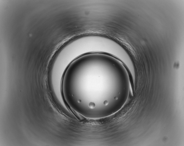 X0000099420492200805161049