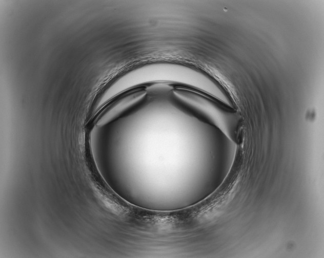 X0000099420493200805161049