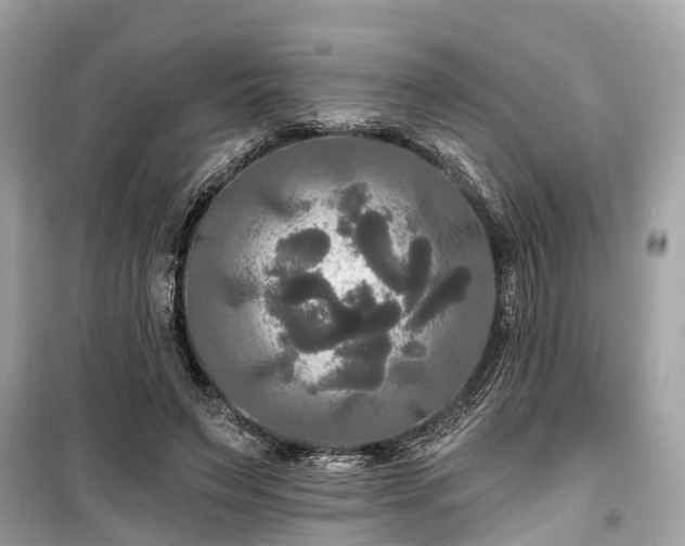 X0000099420495200805161049