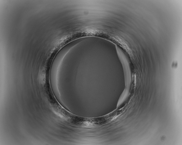 X0000099420496200805161049